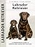 Labrador Retriever (Comprehensive Owner's Guide)
