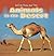 Animals in the Desert (Animal Show and Tell)