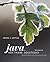 Java Software Solutions: Foundations of Program Design
