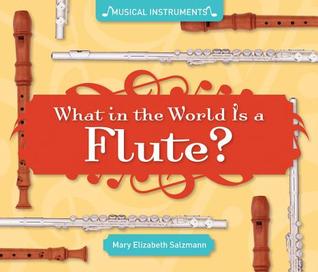 What in the World Is a Flute? (Musical Instruments)