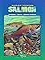Discovering Salmon (Discovering Nature)