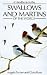 Swallows and Martins