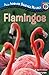 Flamingos (All Aboard Scien...