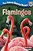 Flamingos (All Aboard Science Reader: Station Stop 2)