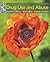 Drug Use and Abuse