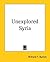 Unexplored Syria
