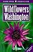 Wildflowers of Washington