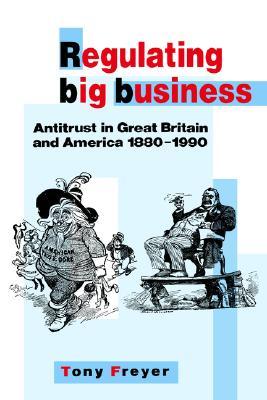 Regulating Big Business: Antitrust In Great Britain And America, 1880-1990 (Hardcover)