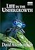 LIFE IN THE UNDERGROWTH by David Attenborough