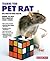 Training Your Pet Rat (Trai...
