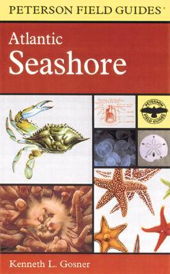 A Field Guide to the Atlantic Seashore: From the Bay of Fundy to Cape Hatteras (Paperback)
