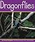 Dragonflies (Insects)