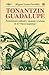 Tonantzin Guadalupe. Pensamiento náhuatl y mensaje cristiano ... by Miguel León-Portilla