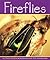 Fireflies (Insects)