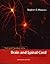 Form and Function in the Brain and Spinal Cord by Stephen G. Waxman
