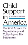 Child Support in America: Practical Advice on Negotiating and Collecting a Fair Settlement Child Support in America: Practical Advice on Negotiating and Collecting a Fair Settlement