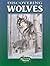 Discovering Wolves: A Nature Activity Book