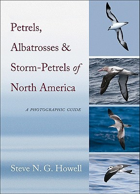 Petrels, Albatrosses, and Storm-Petrels of North America: A Photographic Guide (Hardcover)