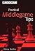 Practical Middlegame Tips (Cadogan Chess Books)