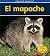 El mapache (Heinemann Lee y aprende/ Heinemann Read and Learn: Que esta despierto? / What's Awake?) (Spanish Edition)