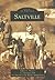 Saltville (Images of America: Virginia)