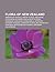 Flora of New Zealand: Verbascum Thapsus, Oreostylidium, Megaherb, Microlaena Stipoides, Brachyglottis Greyi, Phormium Cookianum, Carmichaelia