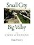 Small City in a Big Valley:...