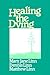 Healing the Dying by Mary Jane Linn