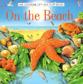 On the Beach (Usborne Lift-the-Flap)