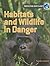Habitats and Wildlife in Da...