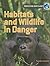 Habitats and Wildlife in Danger (Protecting Our Planet)