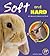 Soft and Hard (A+ Books: An...