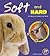 Soft and Hard (A+ Books: Animal Opposites)