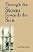 Through the Storm Towards the Sun by Carol Feller Brady Through the Storm Towards the Sun by Carol Feller Brady