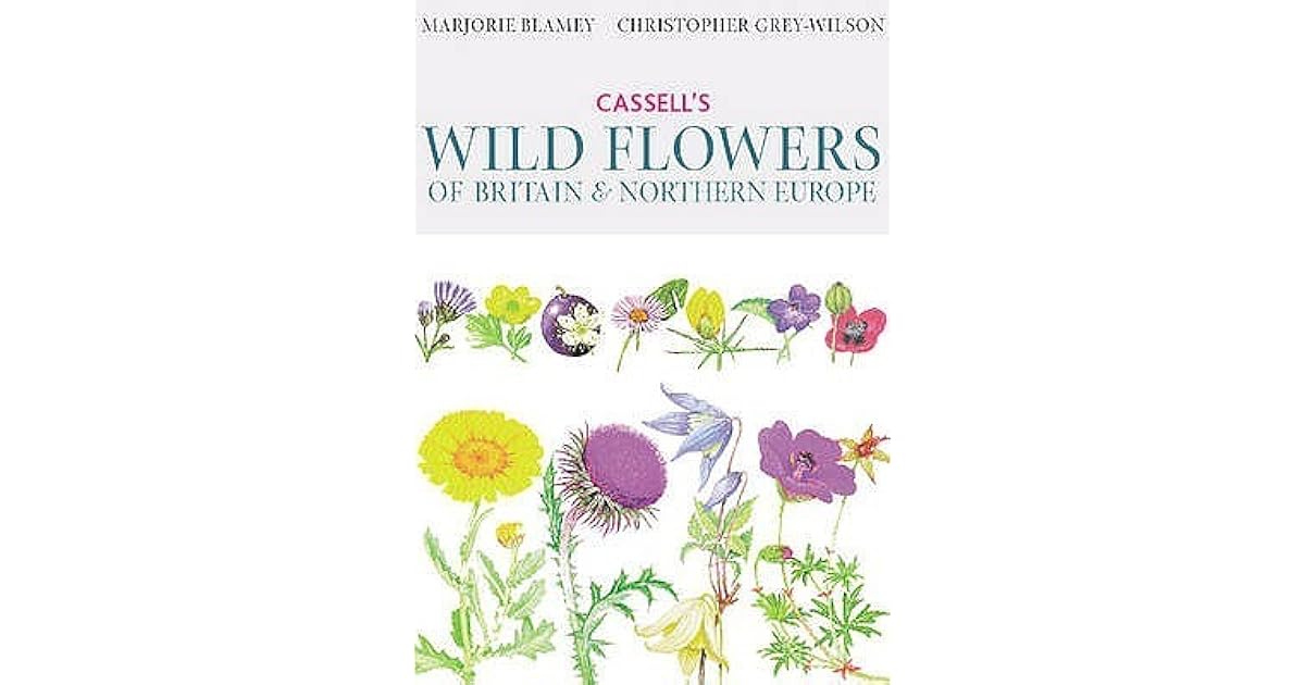 Cassell's Wild Flowers Of Britain & Northern Europe by Christopher Grey