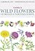 Cassell's Wild Flowers of Britain and Northern Europe