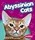 Abyssinian Cats (Pebble Boo...