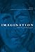 Imagination and Its Pathologies
