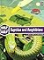 Reptiles and Amphibians: Great Story & Cool Facts (Half & Half Books: Level 3 (Paperback))