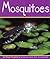 Mosquitoes (Insects)