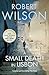 A Small Death in Lisbon by Robert  Wilson