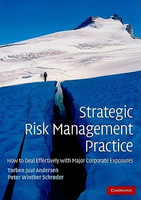 Strategic Risk Management Practice: How to Deal Effectively with Major Corporate Exposures (Paperback)
