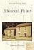 Mineral Point by Kay Price