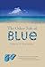 The Other Side of Blue: A YA Novel About an Artist's Daughter, Grief, and Family in the Caribbean