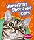 American Shorthair Cats by Wendy Perkins
