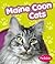 Maine Coon Cats by Wendy Perkins