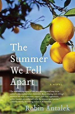 The Summer We Fell Apart (Paperback)