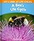 A Bee's Life Cycle (Let's Look at Life Cycles)