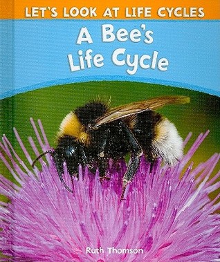 A Bee's Life Cycle (Let's Look at Life Cycles)
