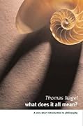 What Does It All Mean? A Very Short Introduction to Philosophy